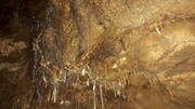 از کشف یک غار جدید تا اعزام امدادگران ایلامی به آبادان