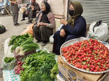 فصل بهار و رونق بازار سنتی " پیر دایکان " سردشت