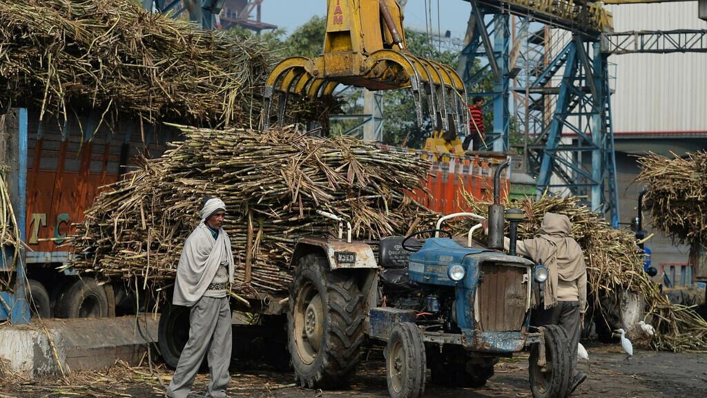 هند پس از گندم صادرات شکر را محدود می‌کند