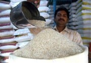 هند برنامه ای برای محدود کردن صادرات برنج ندارد