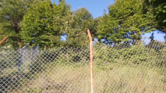 استاندار مازندران بخشدار مرکزی گلوگاه را به خاطر کوتاهی در انجام وظیفه برکنار کرد