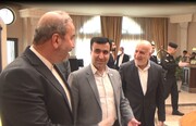 ریزگردها مسئولان ایرانی و عراقی را گرد هم آورد؛ رئیس سازمان محیط زیست ایران در بغداد