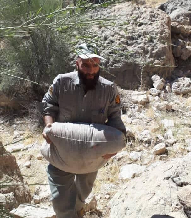 دو محیط بان استان فارس در درگیری با شکارچیان غیرمجاز جان باختند