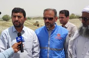  استاندار سیستان و بلوچستان: آبگیرها و سواحل منطقه مکُران ایمن‌سازی می‌شود 