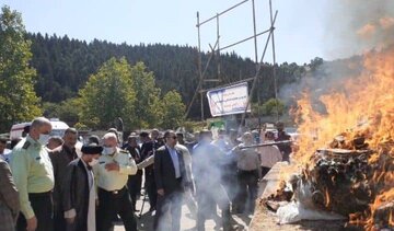 یک تن موادمخدر در بهشهر به آتش کشیده شد