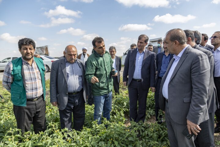 رهاورد سفر اعضای کمیسیون کشاورزی مجلس به سرزمین هیرکان؛ کشاورزی گلستان جان میگیرد