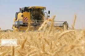 بزرگترین عملیات متمرکز برداشت محصولات کشاورزی کشور در خوزستان شروع شد