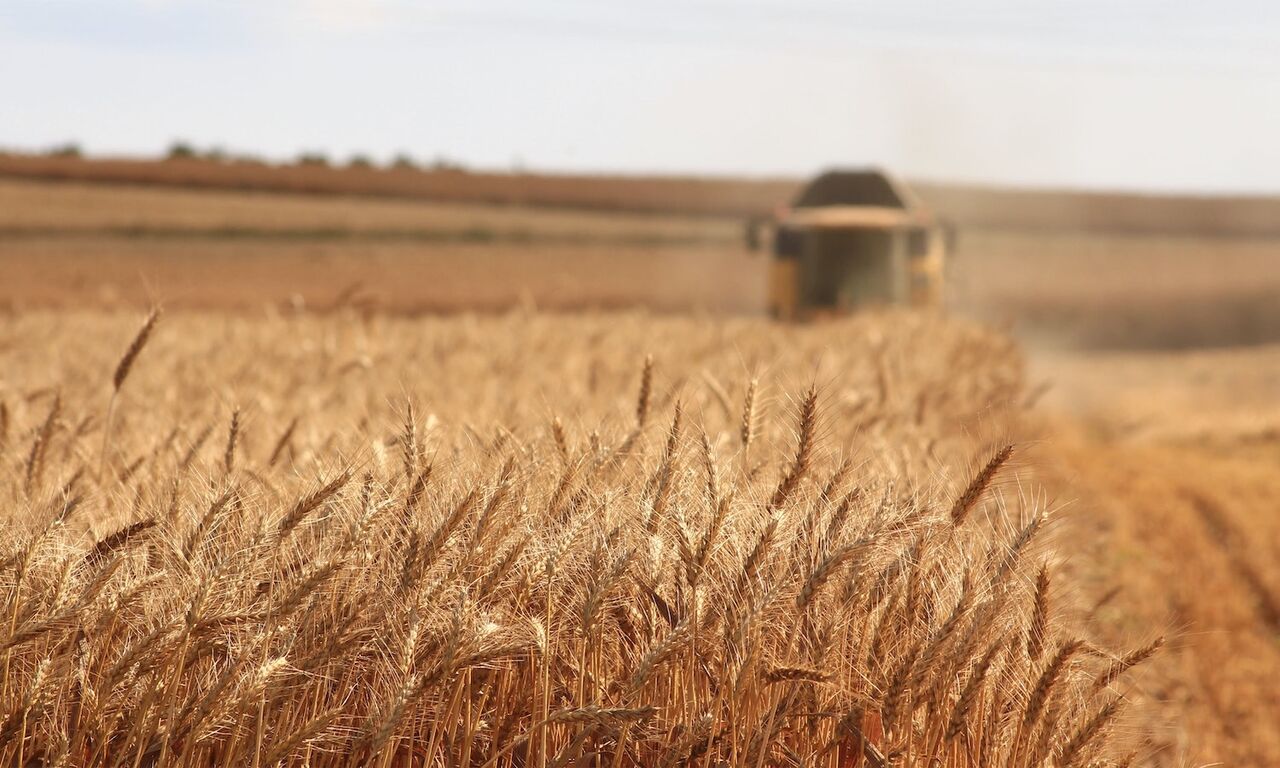 تهدید تامین امنیت غذایی کشور به فرصت تبدیل شد تهدید تامین امنیت غذایی کشور به فرصت تبدیل شد