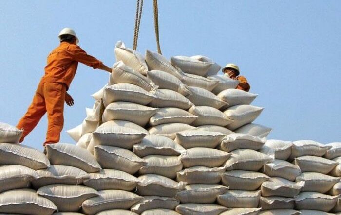بلومبرگ: برنج در فهرست بعدی ممنوعیت صادراتی هند