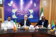 Iranian president's visit to South Africa to boost mutal ties: Envoy