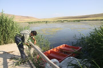 اعتبارات امسال حفاظت محیط زیست آذربایجان‌غربی ۱.۲ برابر شده است