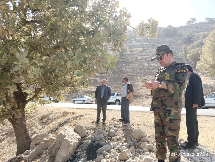 کانون های دچار آفت پروانه برگخوار سفید در جنگل های زاگرس شناسایی شد