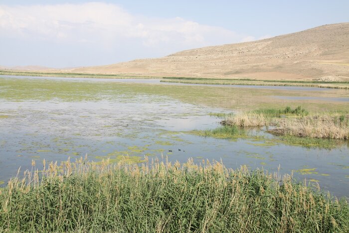 همکاری جوامع محلی راهی برای شنیدن نوای حیات از تالابهای آذربایجانغربی
