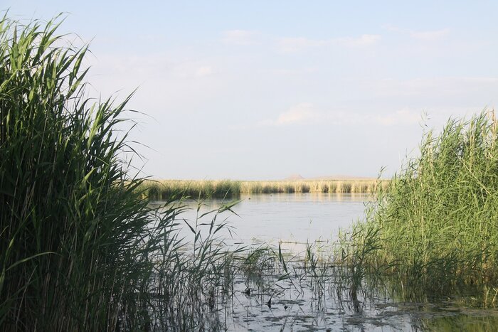 همکاری جوامع محلی راهی برای شنیدن نوای حیات از تالابهای آذربایجانغربی