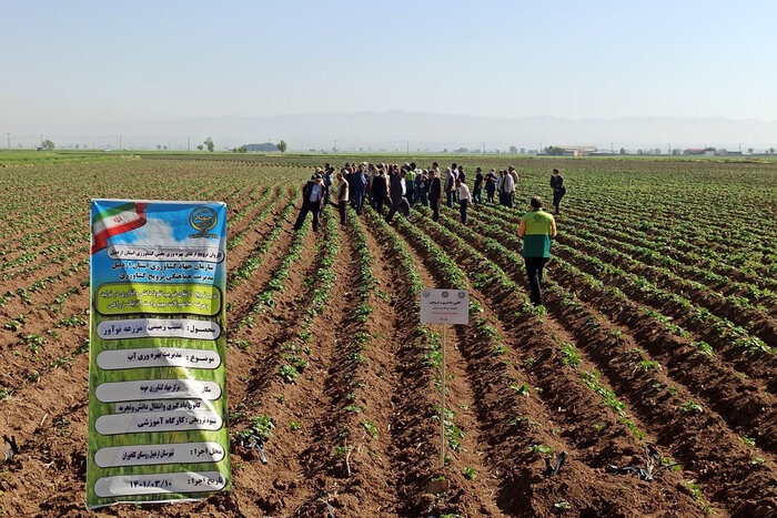 دومین کاروان ترویجی وزارت جهاد کشاورزی عازم شهرستانهای استان اردبیل شد