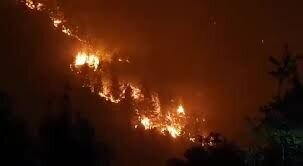 از ابراز علاقه تاجیکستان به استفاده از بنادر ایرانی تا توپ مذاکرات هستهای وین در زمین واشنگتن