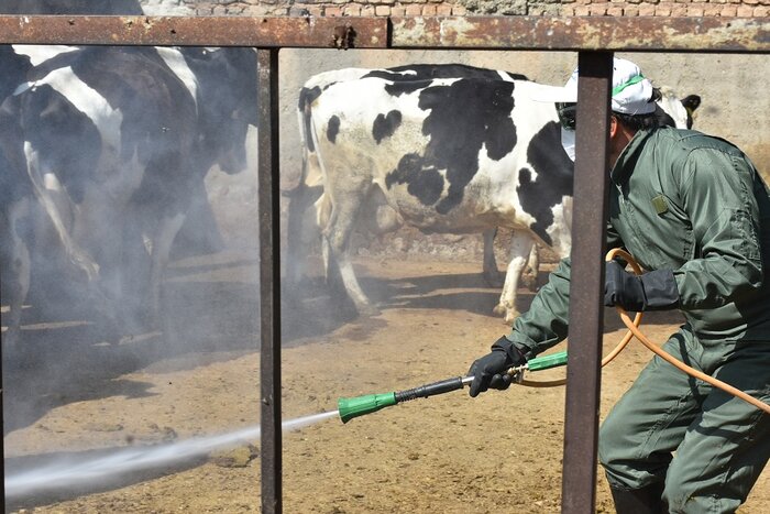 مانور پیشگیری از بیماری تب کریمه کنگو در شهریار برگزار شد