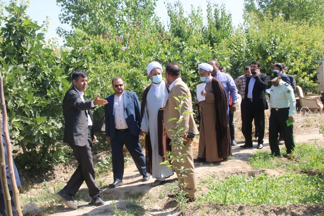 رونق اقتصادی و کشاورزی به روستاهای رباط کریم باز می‌گردد