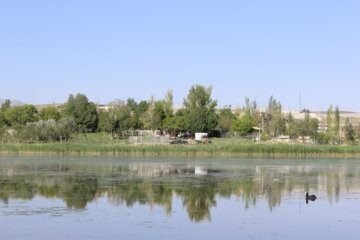 سفر قاضی زاده هاشمی به شهرستان بستان آباد