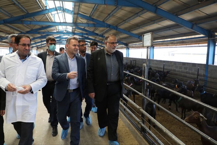 استاندار قزوین: اصلاح فرایند یارانه ها برای کشور یک الزام بود