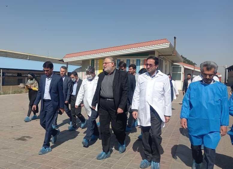 استاندار قزوین از یک واحد کشاورزی در آبیک بازدید کرد