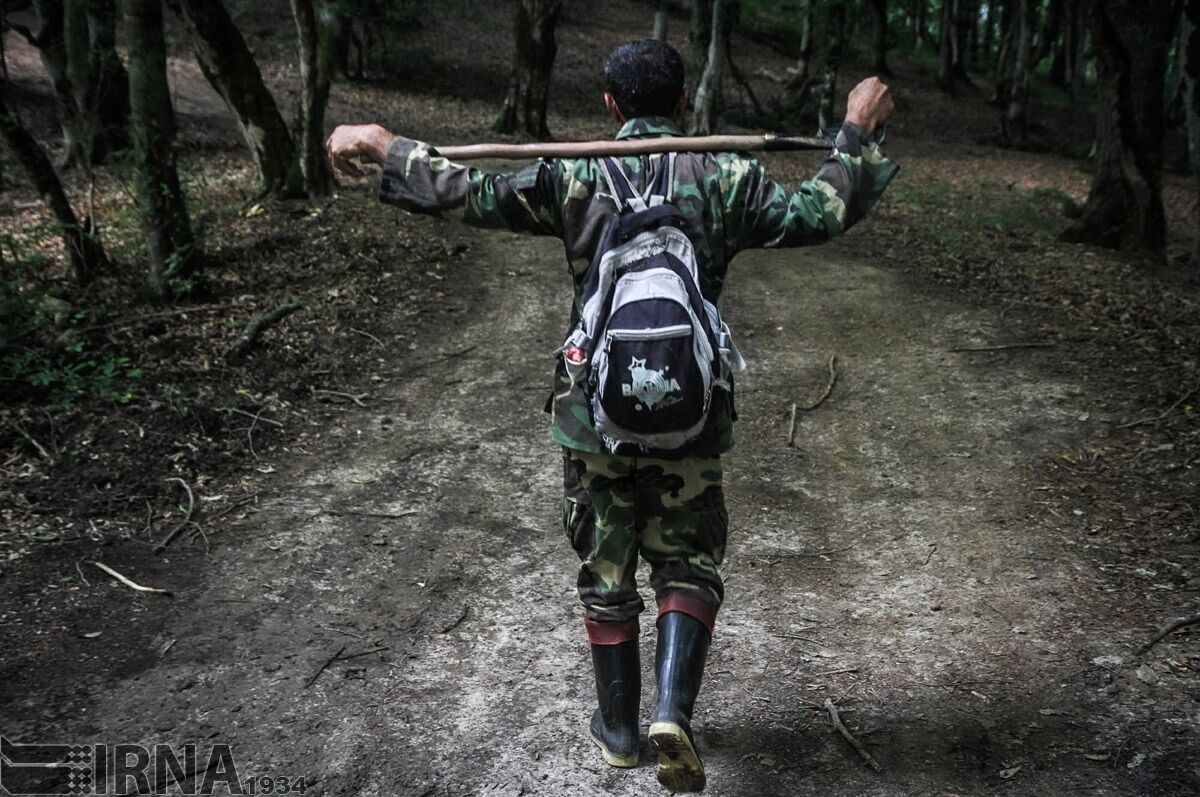 حال جنگلبانان مصدوم گیلان مساعد است حال جنگلبانان مصدوم گیلان مساعد است