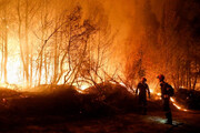 آتش سوزی در یونان؛ خطر به حومه آتن رسید