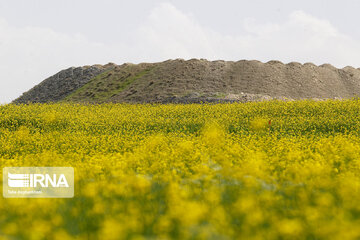 Urmia Lake