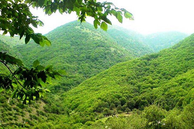 برگزاری برنامههای هفته محیط زیست با محوریت سند ارتقای فرهنگ محیطزیستی