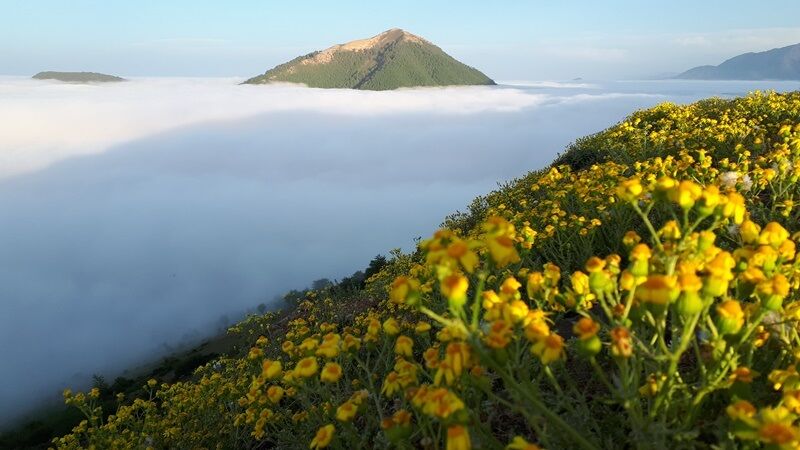 زندگی فراتر از ابرها؛ در مراتع زیبای رضوانشهر