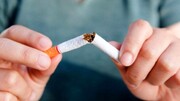 پربازدیدترین مقالات علمی با موضوع دخانیات معرفی شدند