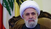 مقام حزب الله: لبنان نفت و گاز خود را بی کم و کاست می‌خواهد
