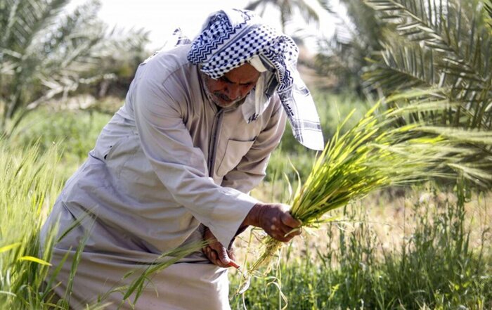از تکرار ادعاهای آژانس بر علیه ایران تا بحران در دولت انگلیس
