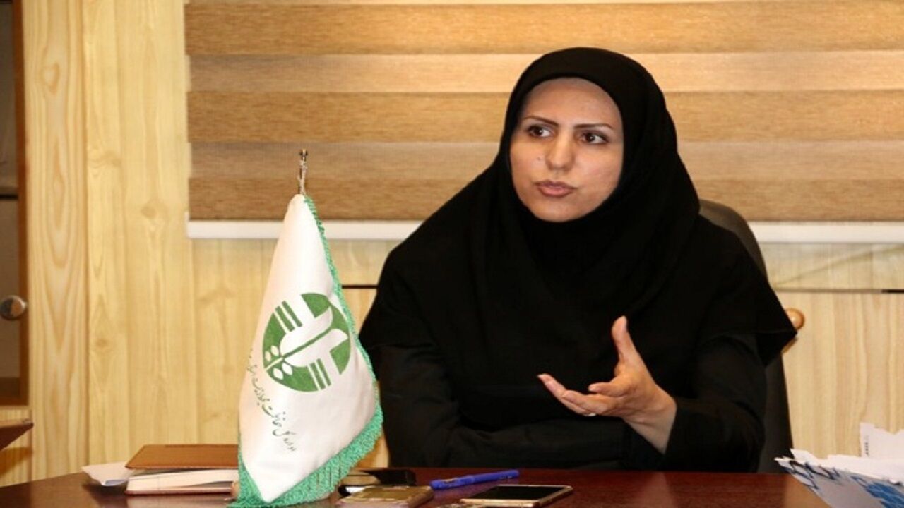 برنامه‌های بزرگداشت هفته محیط زیست در یزد اعلام شد