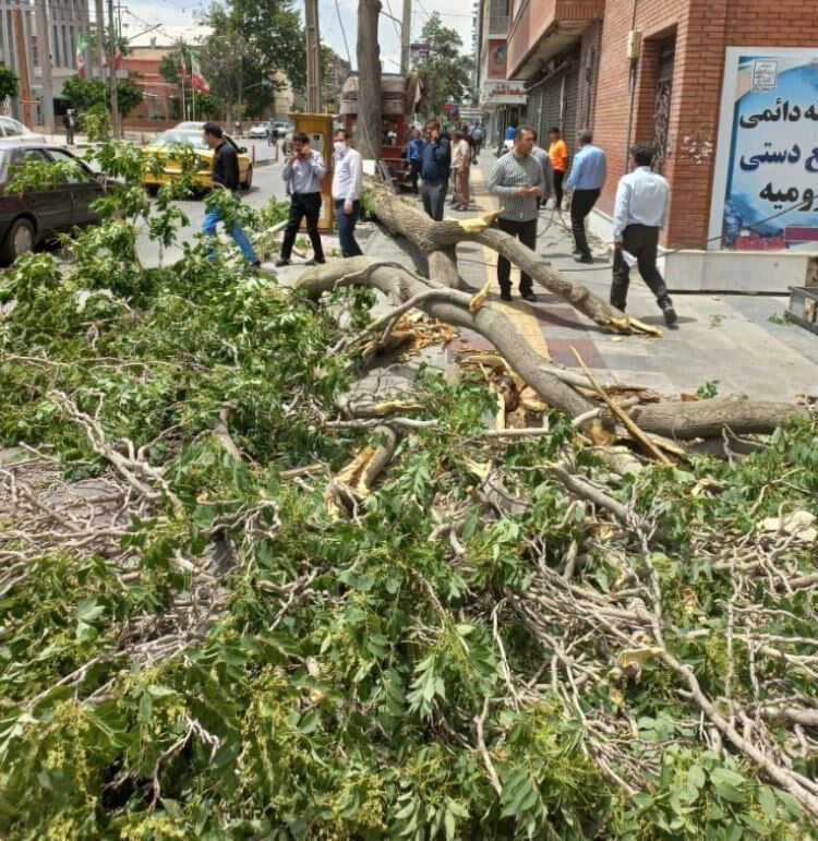 وزش تندباد شدید در ارومیه خسارت آفرید