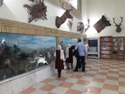بازدید از موزه تاریخ طبیعی زنجان به مدت ۶ روز رایگان است