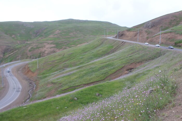 طبیعتدوستان خلخال نگران شقایقها هستند