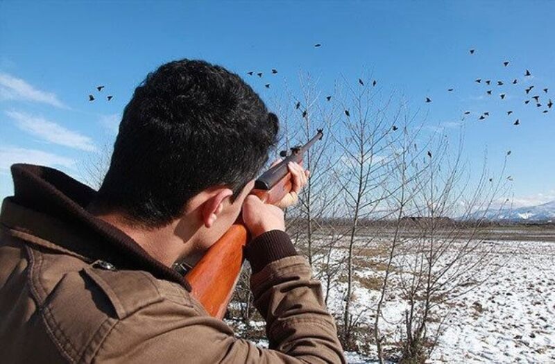 مجوزی برای شکار در آذربایجان غربی صادر نشده است