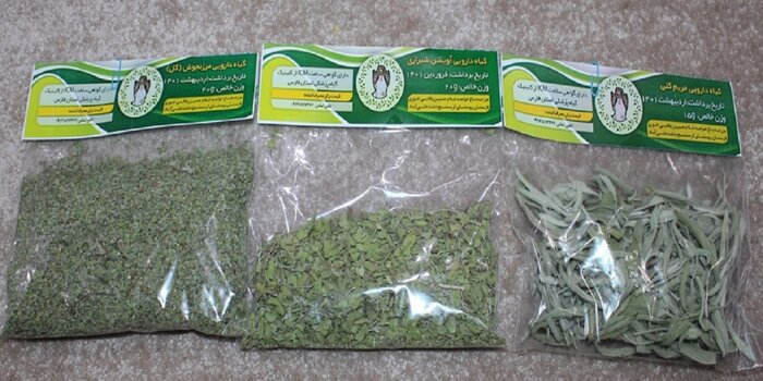 فرماندار لارستان: کشت گیاهان دارویی توسعه یابد