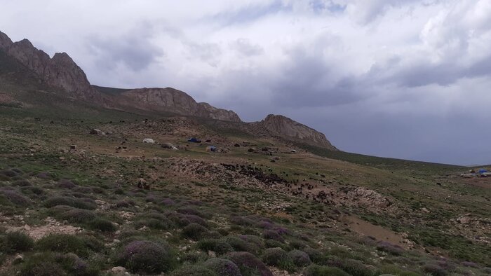 کوچ عشایر خلخال آغاز شد