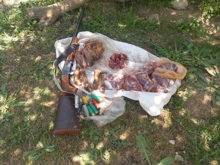 دومین شکارچی بزهای کوهی خلخال به دام افتاد