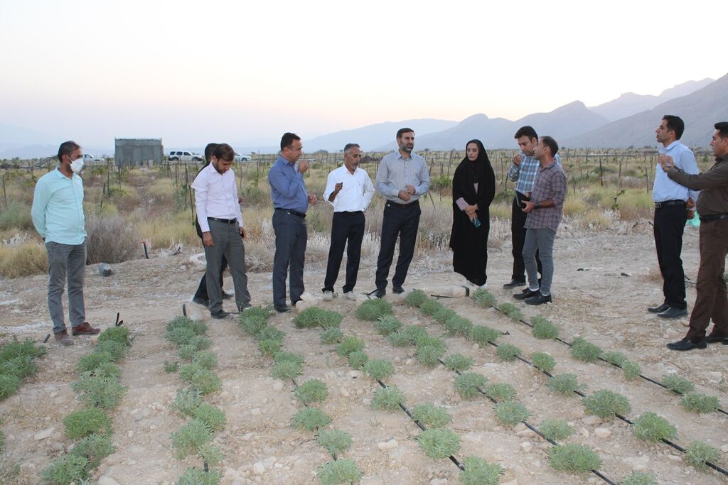 تمرکز بر فعالیت های دانش بنیان آینده بخش کشاورزی را متحول می کند تمرکز بر فعالیت های دانش بنیان آینده بخش کشاورزی را متحول می کند