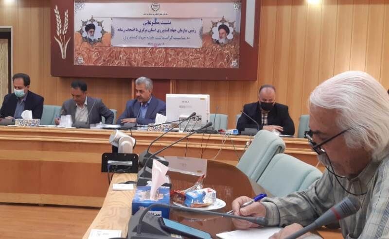 تولید ۲۵۰ هزار تن گندم در استان مرکزی هدفگذاری شد تولید ۲۵۰ هزار تن گندم در استان مرکزی هدفگذاری شد