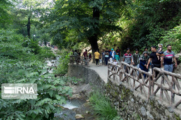 Kaboudwal ; la seule cascade moussue en Iran