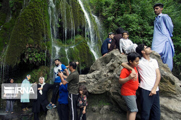 Kaboudwal ; la seule cascade moussue en Iran