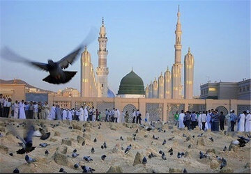 گلستان در غم رحلت پیامبر اسلام (ص) و شهادت امام حسن (ع)