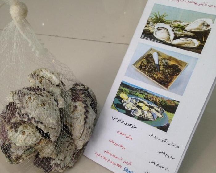 داشتههای اقتصادی بوشهر، عرصهای برای جولان دانشبنیانها 2