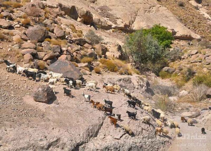 روستای میمند؛ گنجی نهفته در کرمان