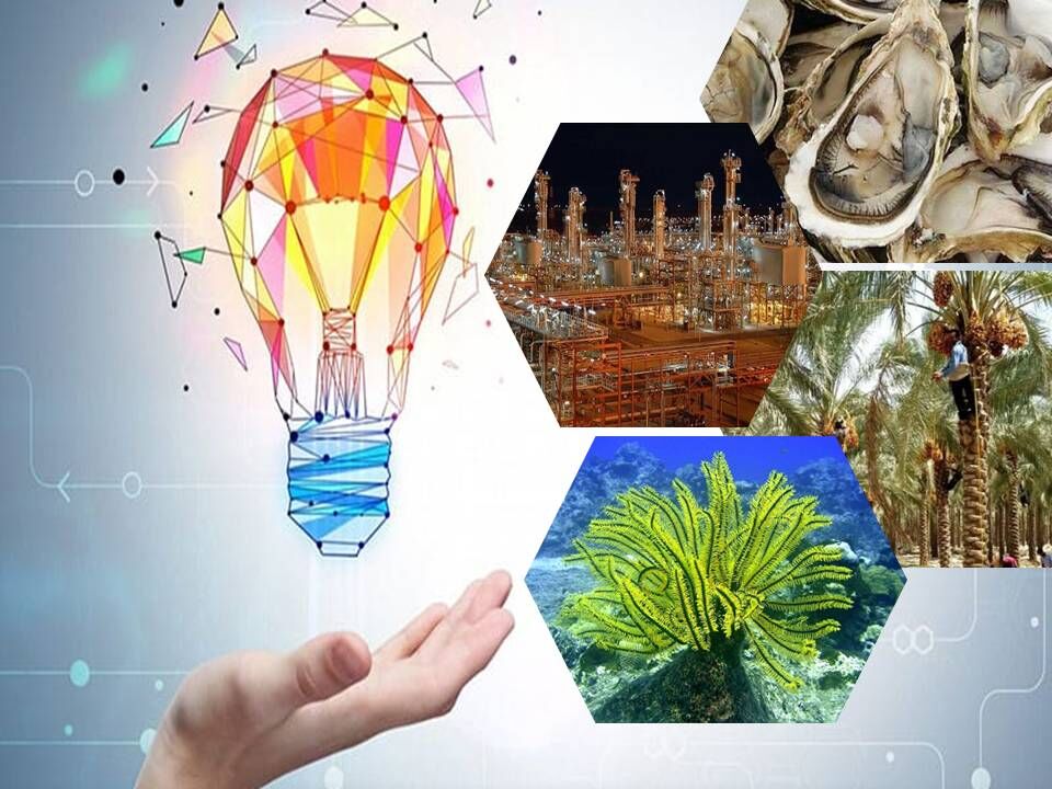 داشتههای اقتصادی بوشهر، عرصهای برای جولان دانشبنیانها