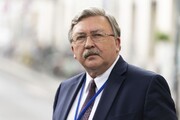 Ulyanov: Nükleer Müzakerelerin Mevcut Durumundan Washington da Sorumlu